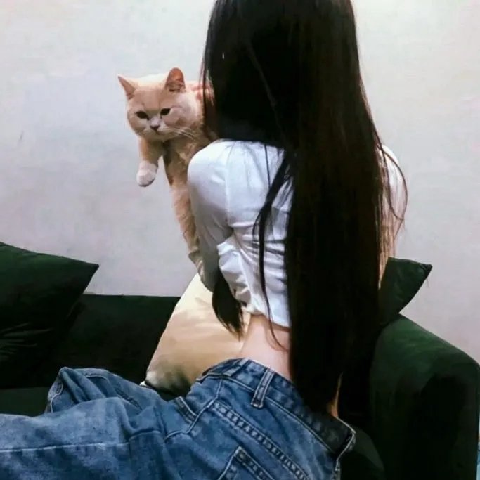 威尔